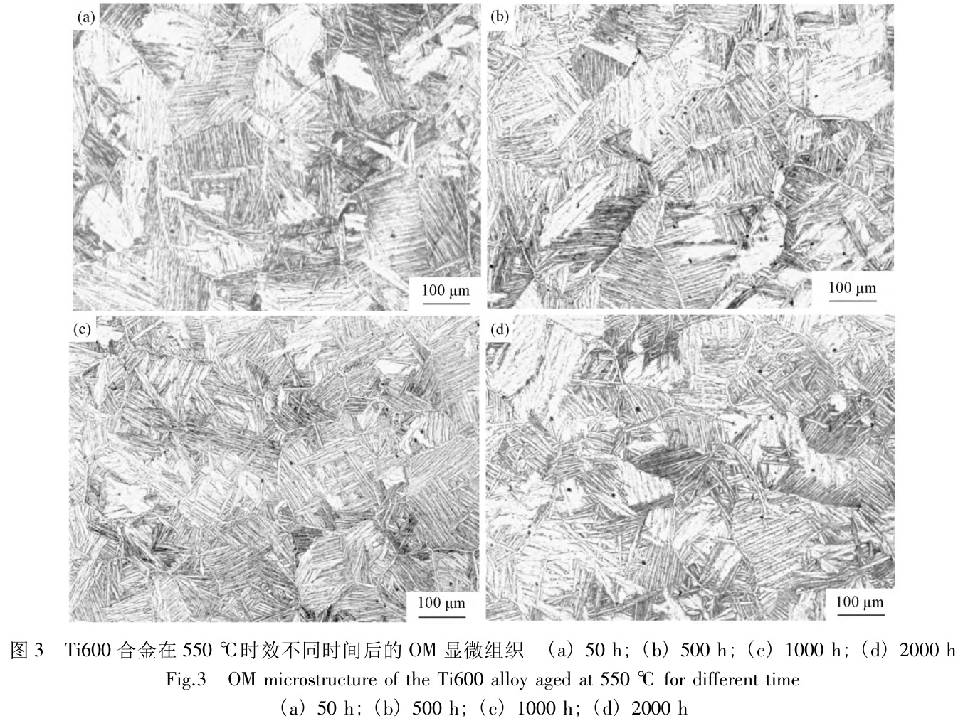 近α型高溫鈦合金長期時(shí)效過程中的組織演化行為