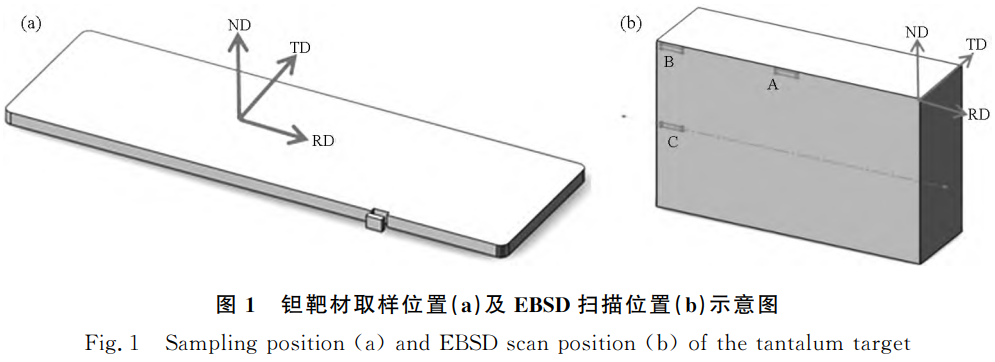 截圖20250407091823.png