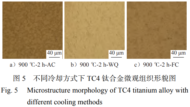截圖20251123212715.png