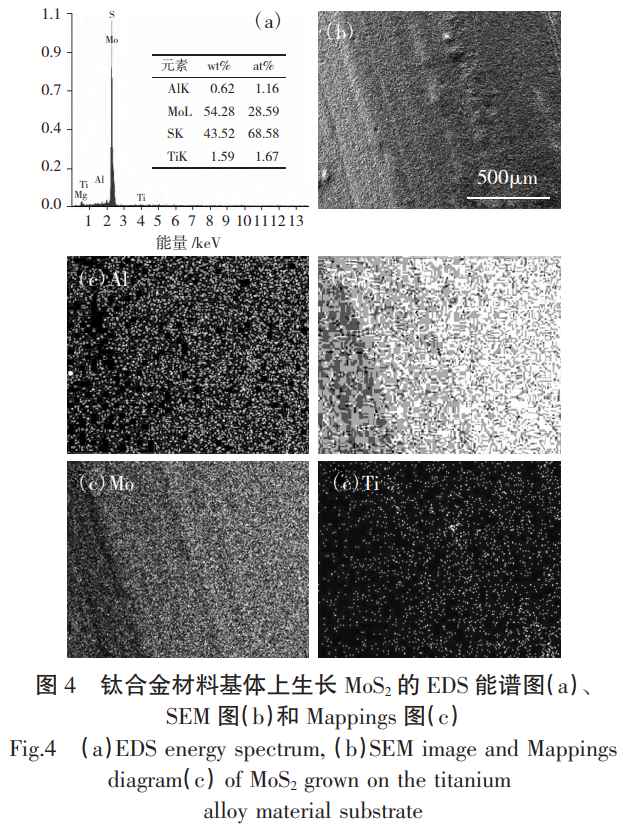 截圖20251124094045.png